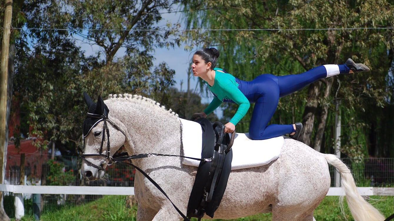 CyrusVaulting